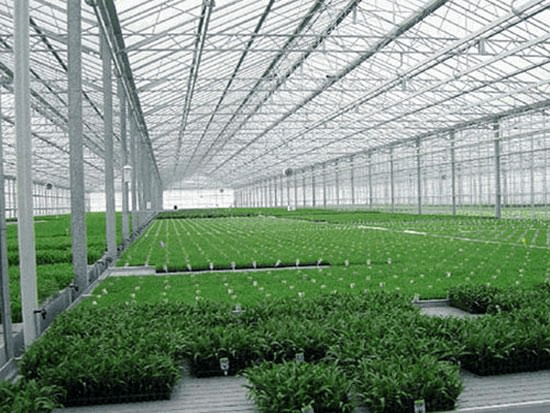 温室蔬菜大棚遭遇低温怎样预防？